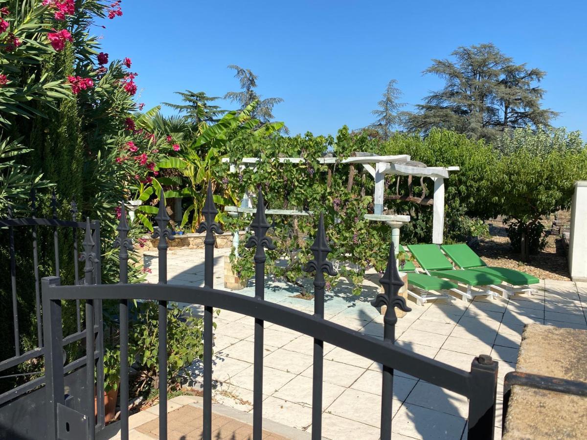 Chambres Privees Dans Maison Avec Grand Parc Et Piscine Proche Via Rhona Andancette المظهر الخارجي الصورة